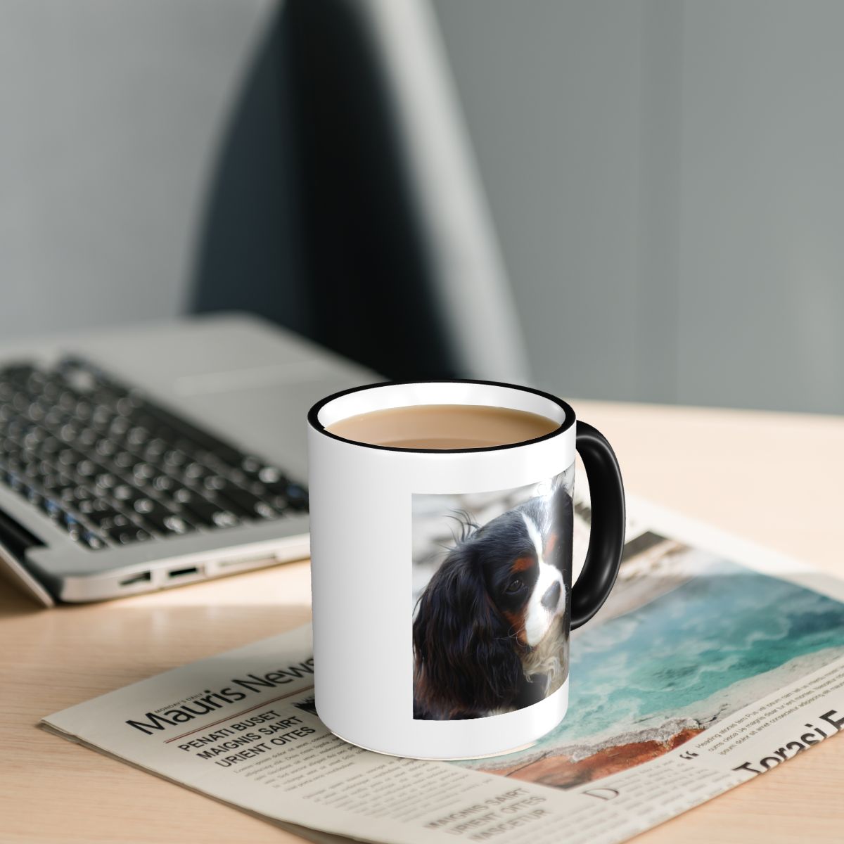 Tri Color Cavalier King Charle - Coffee Tea Photos 评论和价格