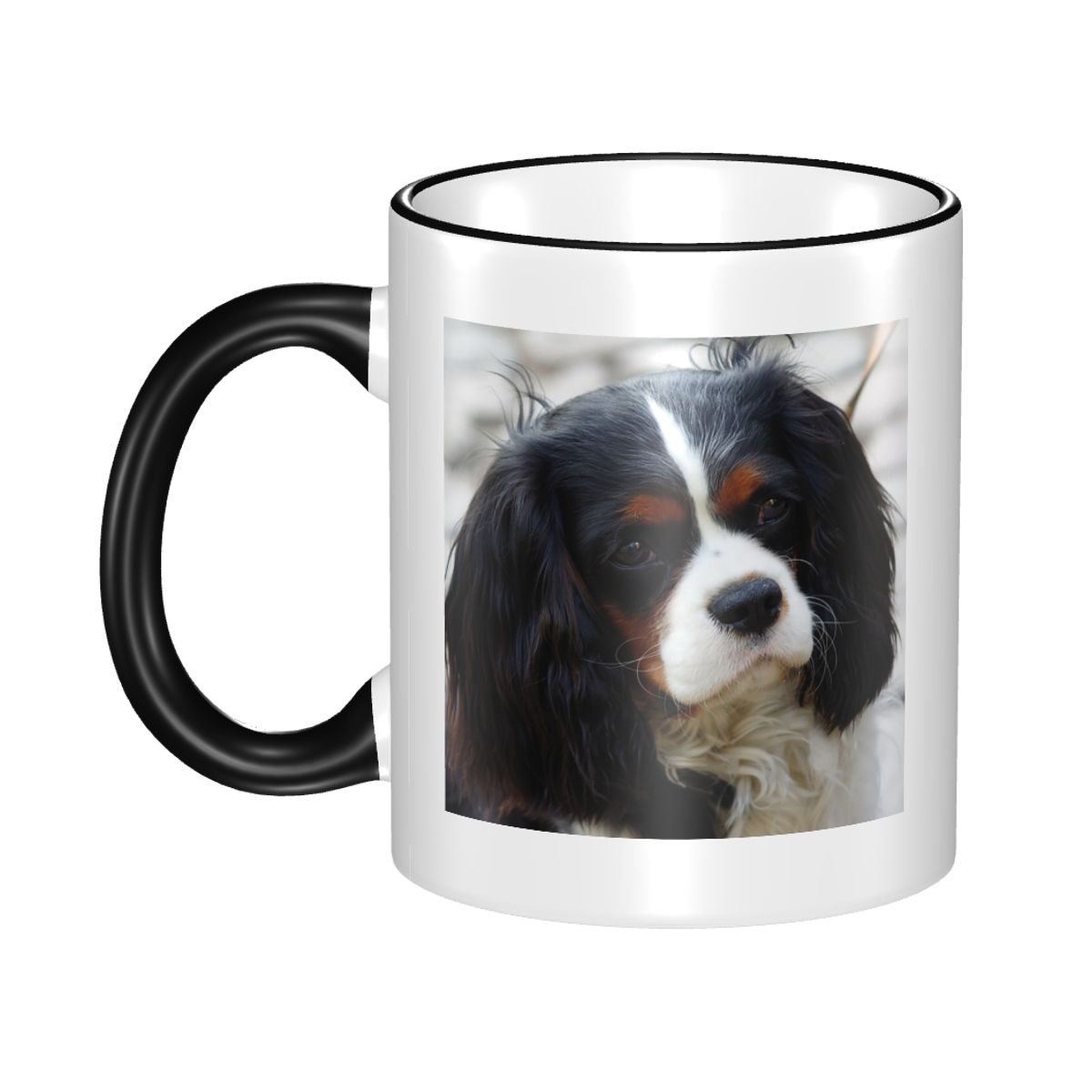Tri Color Cavalier King Charle - Coffee Tea Photos 评论和价格