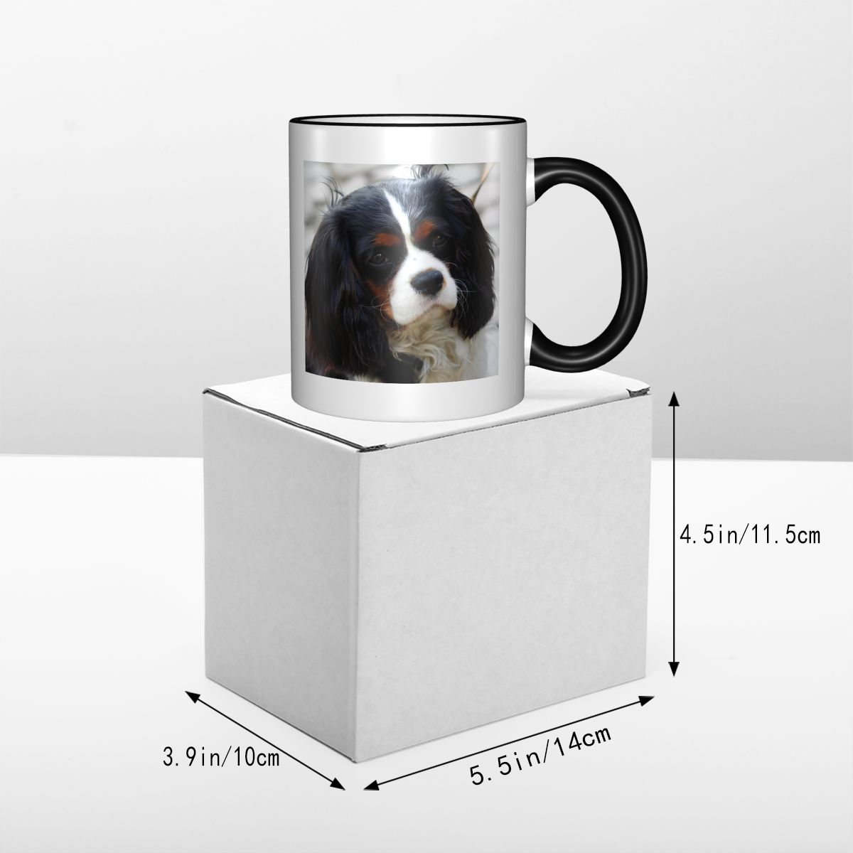 Tri Color Cavalier King Charle - Coffee Tea Photos 评论和价格