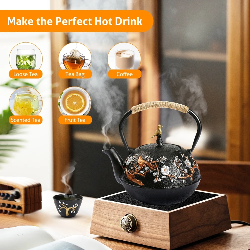 Cast Iron Teapot Set with Alco - Cast Iron Teapot 评论和价格